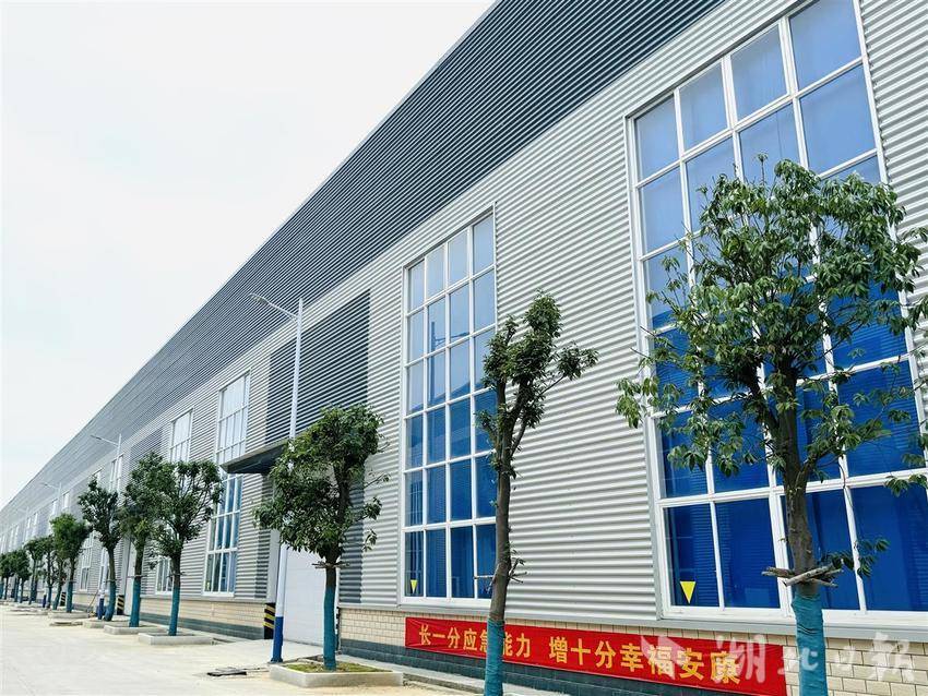 随州金龙新材料高性能纺织车间投产，一块布吸引暑期实习大学生“围观”